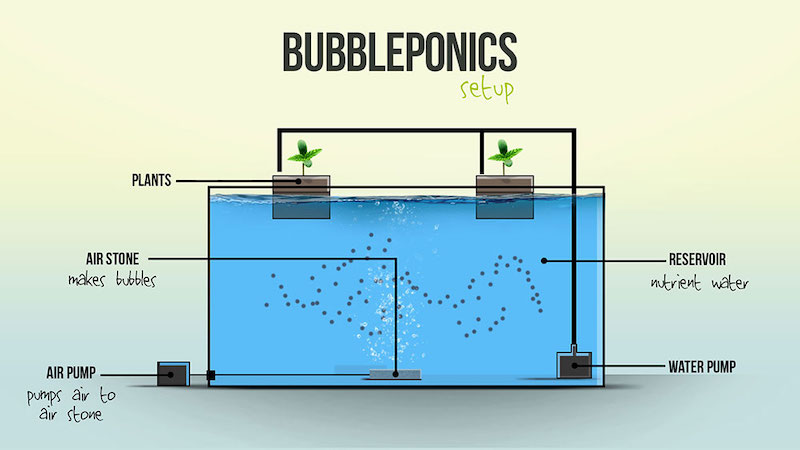 Bubbleponics | What is Bubbleponics? | GrowHigher