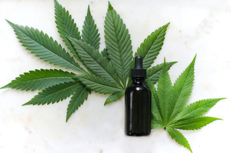 cultivar | what is a Cultivar?